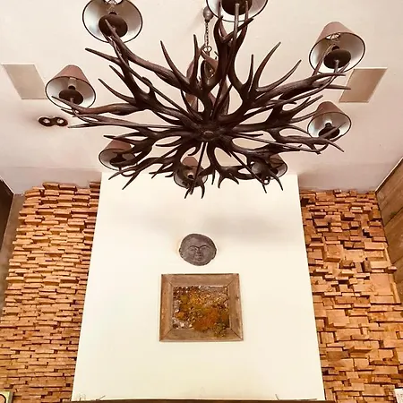 Hotel Green Ecolodge