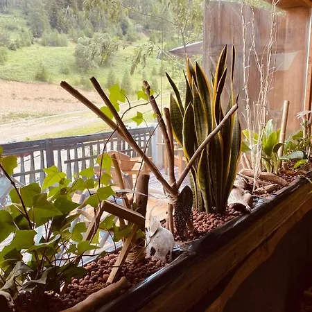 Hotel Green Ecolodge Отель 4*