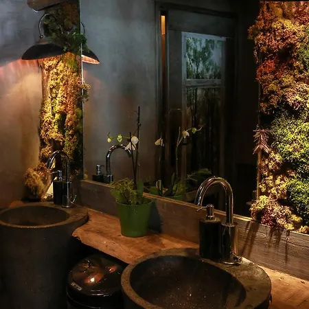 Отель Hotel Green Ecolodge